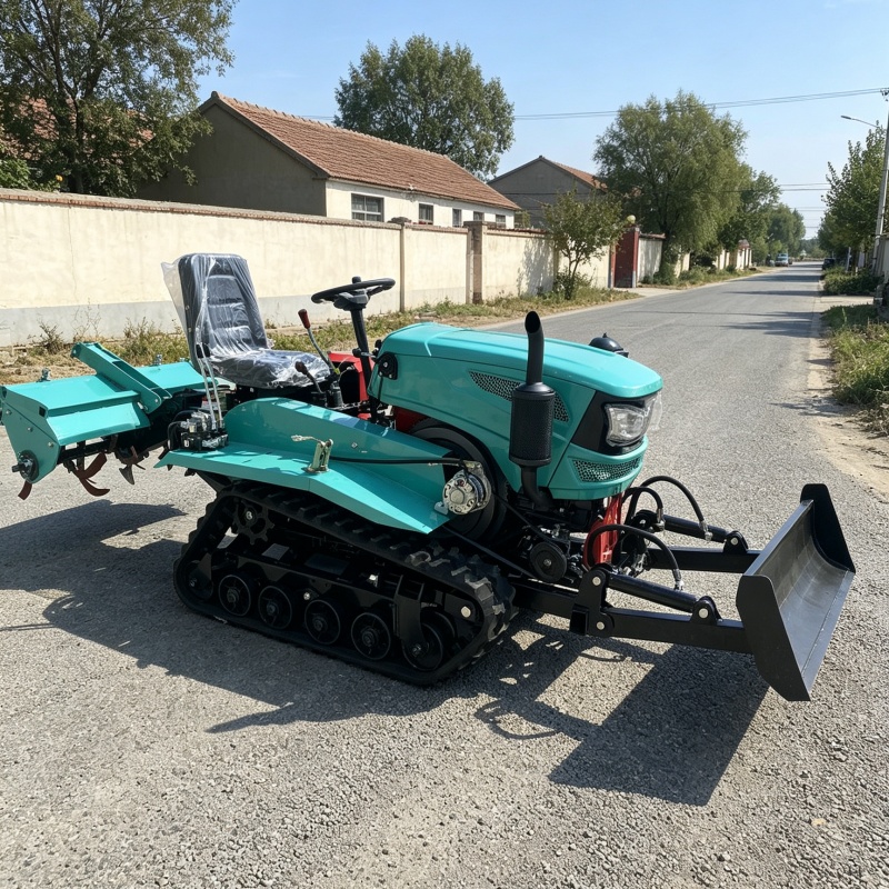 Orchard Sprayer Tractor - Motozappa Cingolata Personalizzata con Lama Bulldozer,