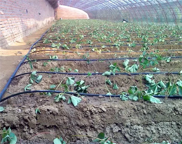 Kit Irrigazione 1HA, Strumento - Agriculture Farming Kit recensione e prezzo