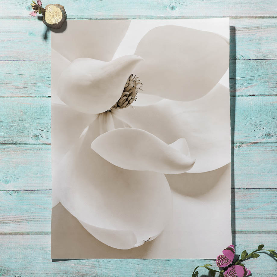 Beige Reed Peonia Orchidea Ros - Orchard Sprayer Tractor recensione e prezzo